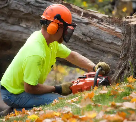 tree services Meyers Lake